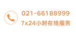 13248161111